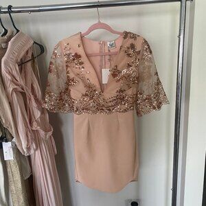 Angel Biba Sequin Top Pink-Beige Dress | Size 8 | NWT